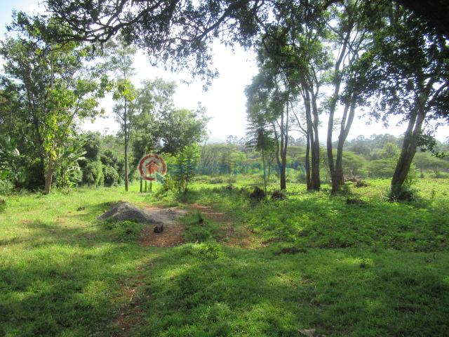 Land For Sale Ololua Ridge Ololua Karen Nairobi - 1