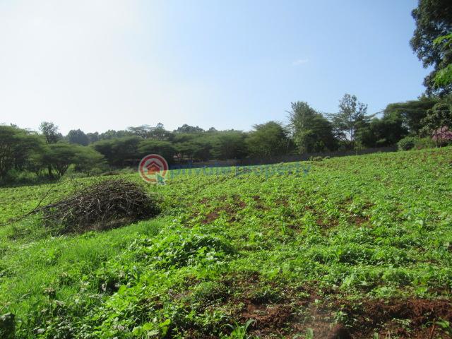 Land For Sale Ololua Ridge Ololua Karen Nairobi - 5