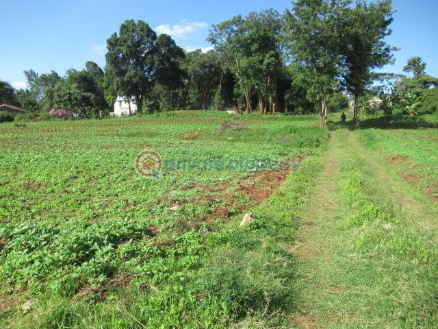 Land For Sale Ololua Ridge Ololua Karen Nairobi - 8