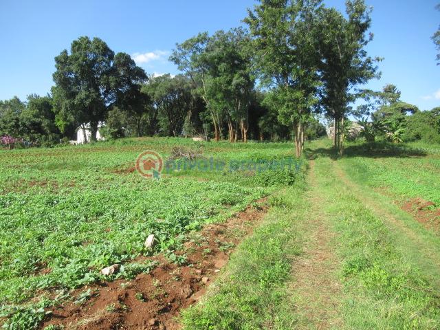 Land For Sale Ololua Ridge Ololua Karen Nairobi - 9