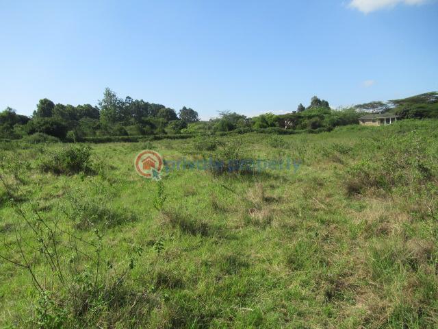 Land For Sale Ololua Ridge Ololua Karen Nairobi - 6