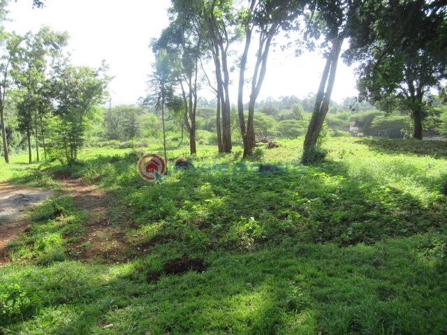 Land For Sale Ololua Ridge Ololua Karen Nairobi - 11