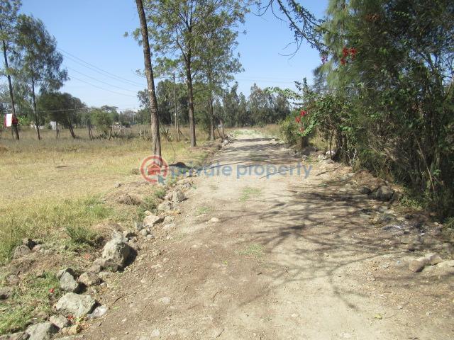 Land For Sale Kuwinda Karen Nairobi - 5