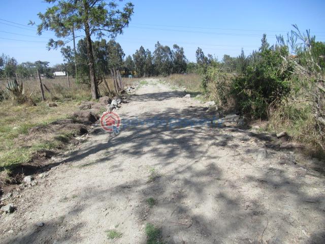 Land For Sale Kuwinda Karen Nairobi - 3