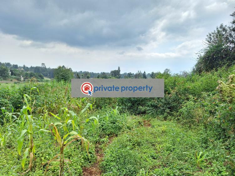 Land For Sale &nbsp;muthithi Road Limuru Central Kiambu - 2