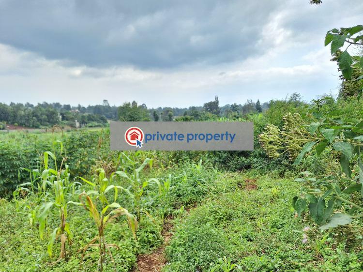 Land For Sale &nbsp;muthithi Road Limuru Central Kiambu - 1