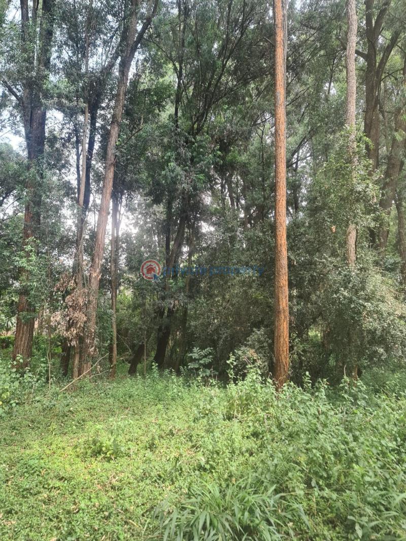 Land For Sale Nairobi Karen  - 1