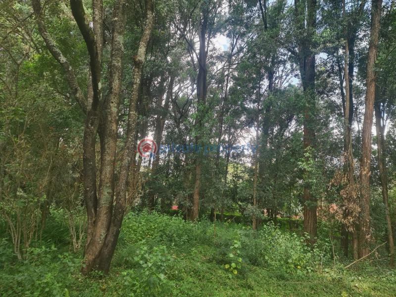 Land For Sale Nairobi Karen  - 0
