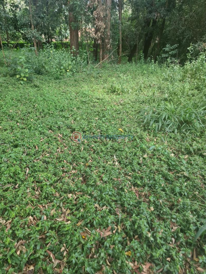 House For Sale Nairobi Karen  - 3