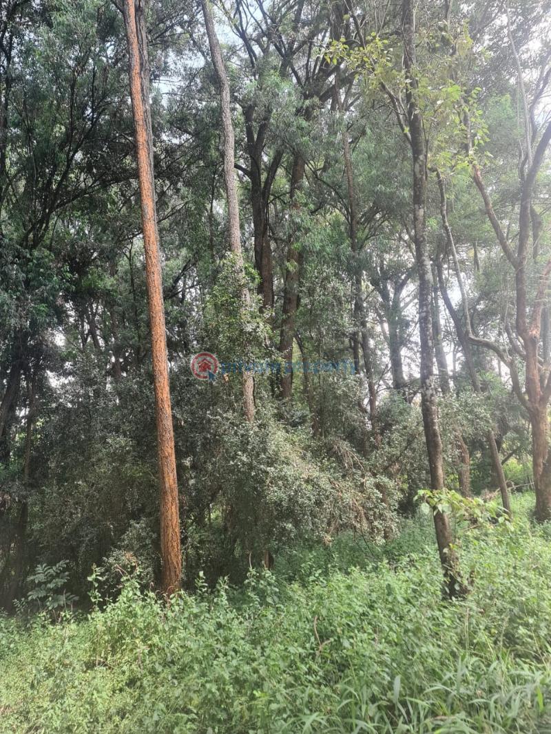 Land For Sale Kikenni Road Karen Nairobi - 2