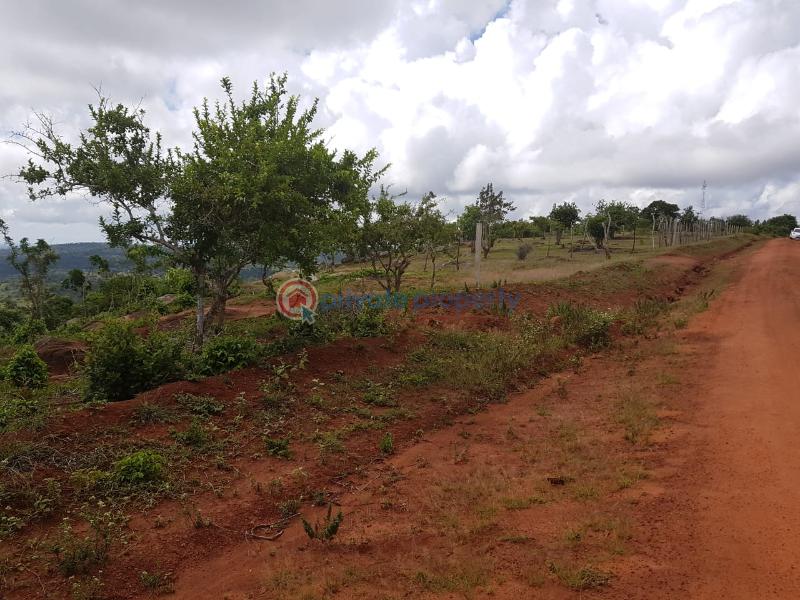 Land For Sale Golini, Kwale Ukunda. Kwale - 2
