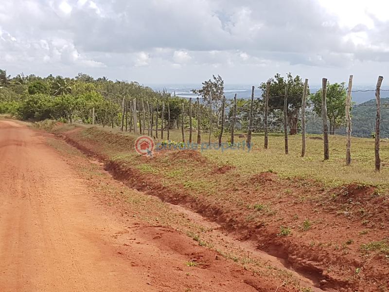 Land For Sale Golini, Kwale Ukunda. Kwale - 4