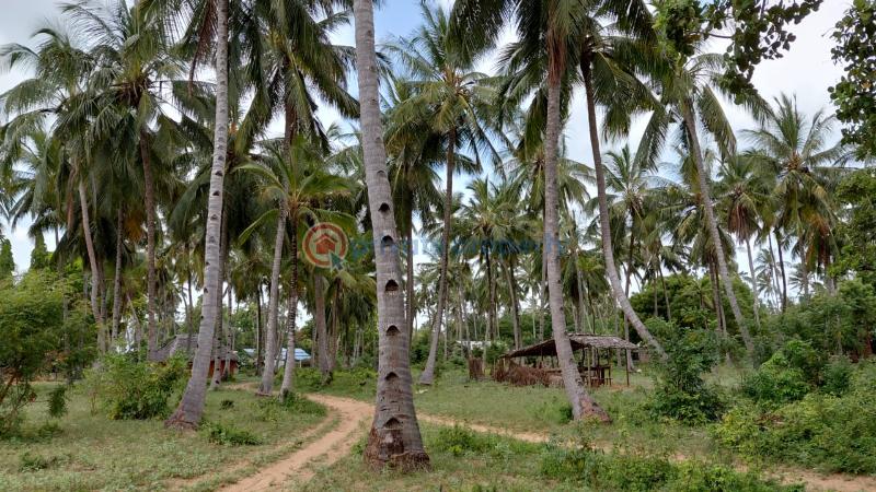 Land For Sale Ocean Front Watamu Kilifi - 4