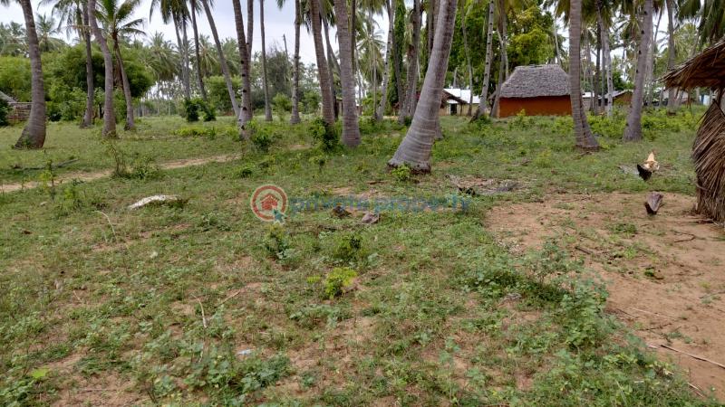 Land For Sale Ocean Front Watamu Kilifi - 2