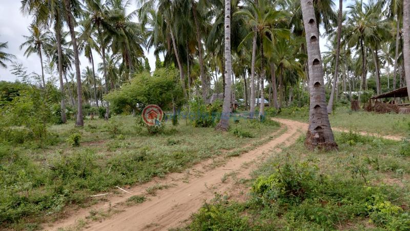 Land For Sale Ocean Front Watamu Kilifi - 7