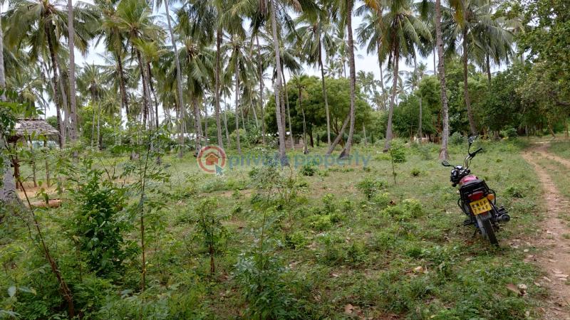 Land For Sale Ocean Front Watamu Kilifi - 8