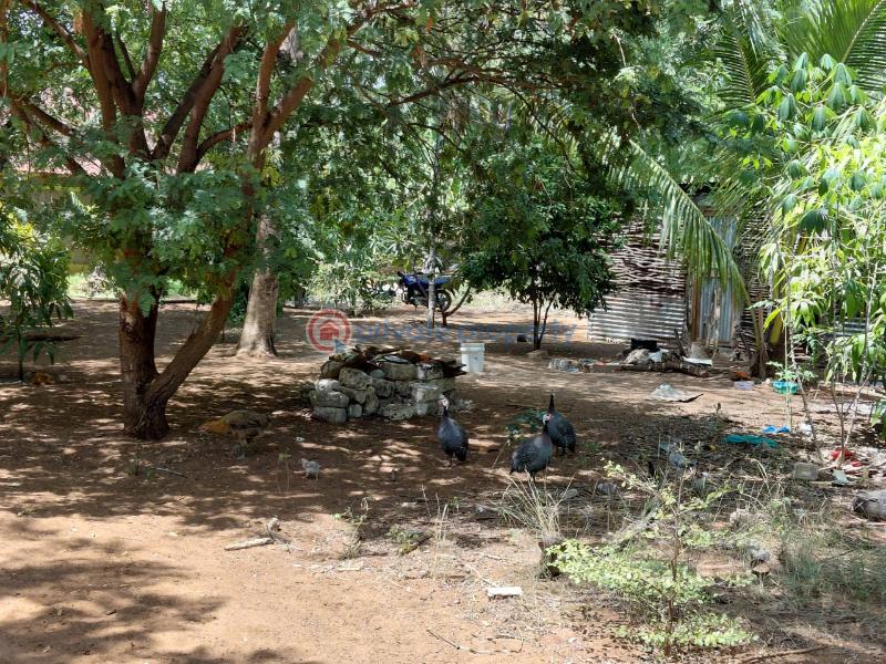 Land For Sale Watamu Ocean Front Ocean Front Watamu Kilifi - 12