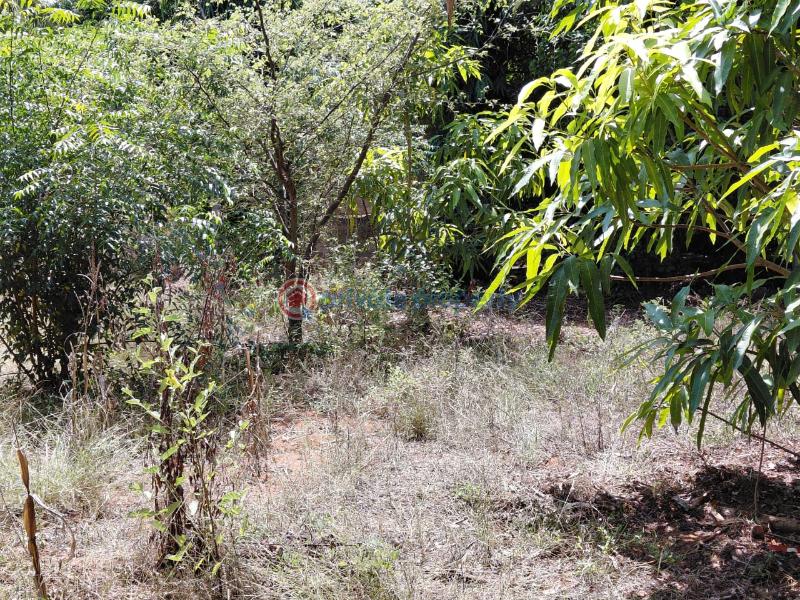 Land For Sale Watamu Ocean Front Ocean Front Watamu Kilifi - 1