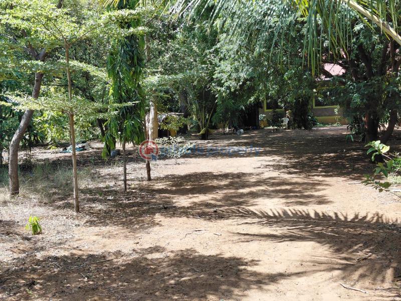 Land For Sale Watamu Ocean Front Ocean Front Watamu Kilifi - 10