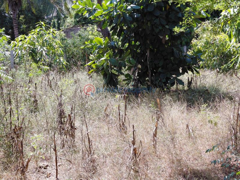 Land For Sale Watamu Ocean Front Ocean Front Watamu Kilifi - 14