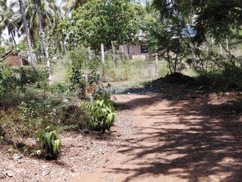 Land For Sale Watamu Ocean Front Ocean Front Watamu Kilifi - 2