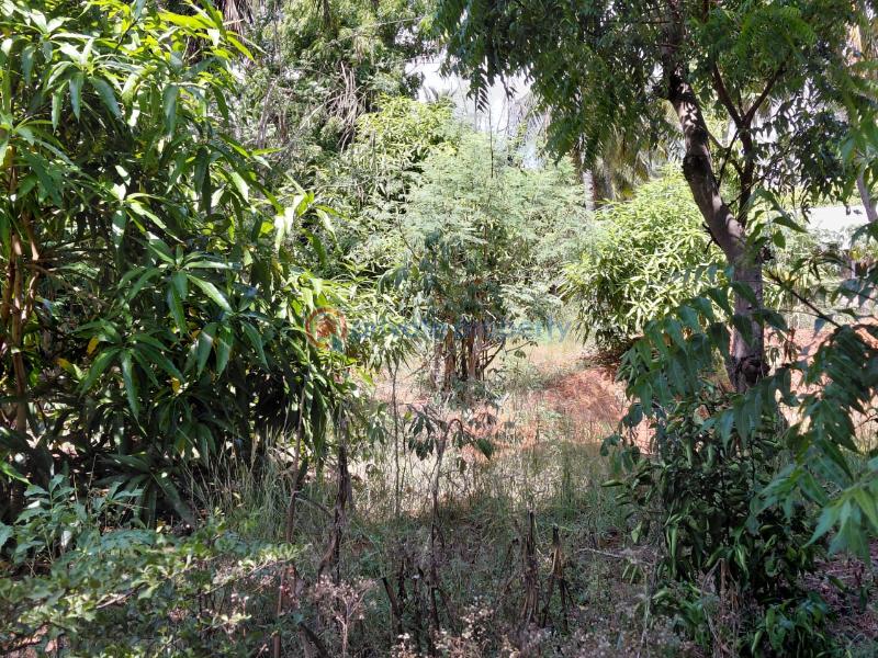 Land For Sale Watamu Ocean Front Ocean Front Watamu Kilifi - 13