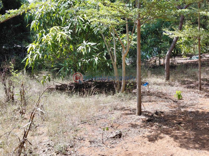Land For Sale Watamu Ocean Front Ocean Front Watamu Kilifi - 6