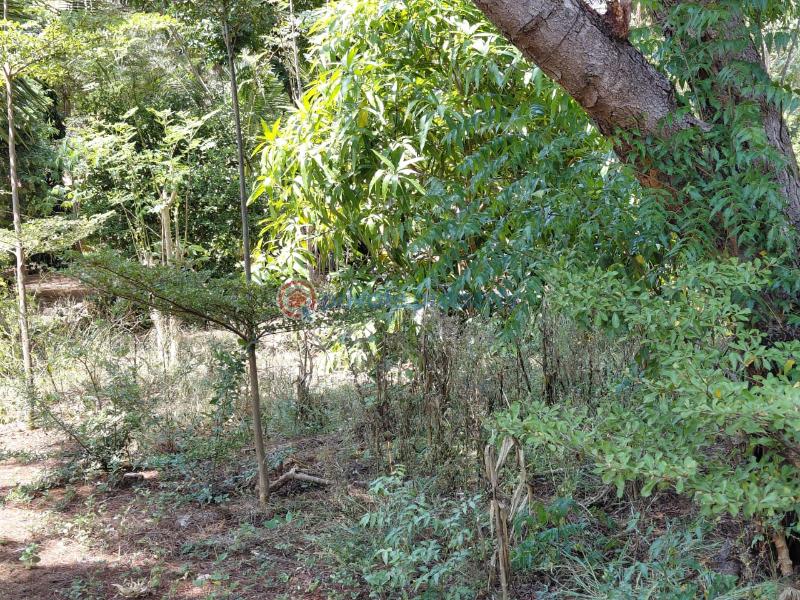 Land For Sale Watamu Ocean Front Ocean Front Watamu Kilifi - 16