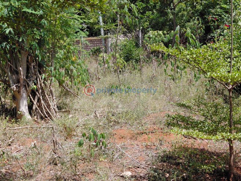 Land For Sale Watamu Ocean Front Ocean Front Watamu Kilifi - 3