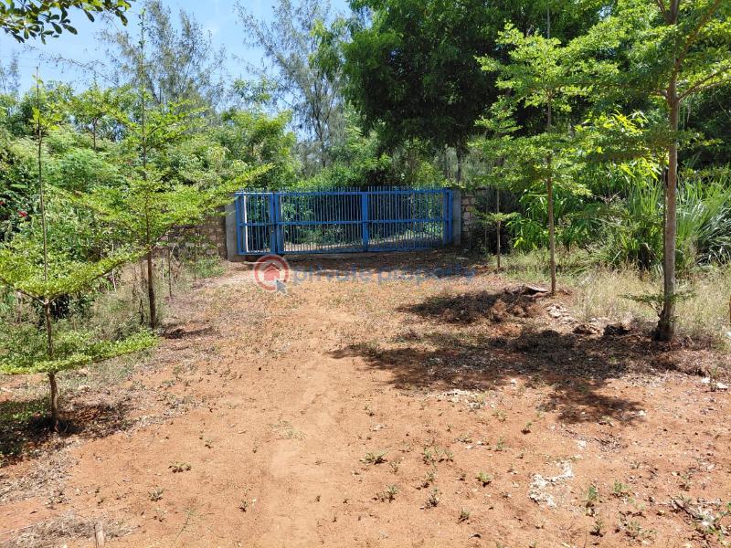 Land For Sale Watamu Ocean Front Ocean Front Watamu Kilifi - 5