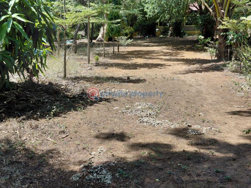 Land For Sale Watamu Ocean Front Ocean Front Watamu Kilifi - 11