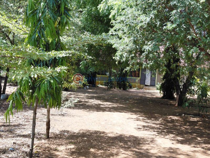 Land For Sale Watamu Ocean Front Ocean Front Watamu Kilifi - 7
