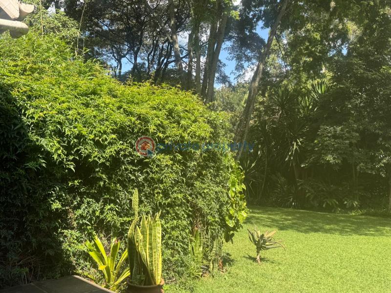 Land For Sale Miotoni Karen Nairobi - 2