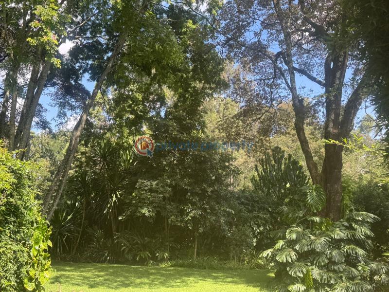 Land For Sale Miotoni Karen Nairobi - 3