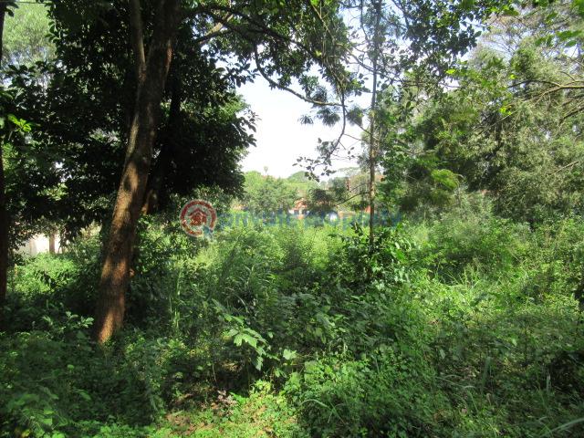Land For Sale Runda Estate Runda Westlands Nairobi - 8