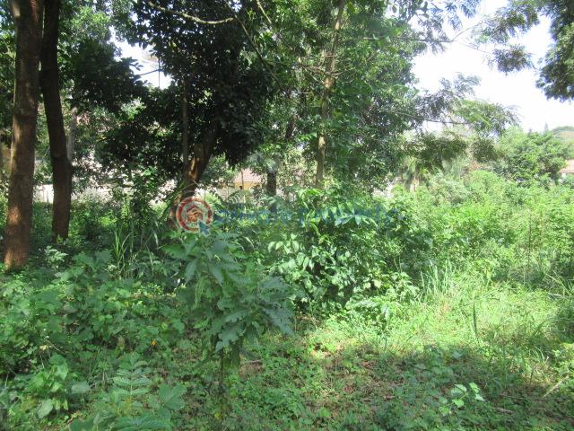 Land For Sale Runda Estate Runda Westlands Nairobi - 7