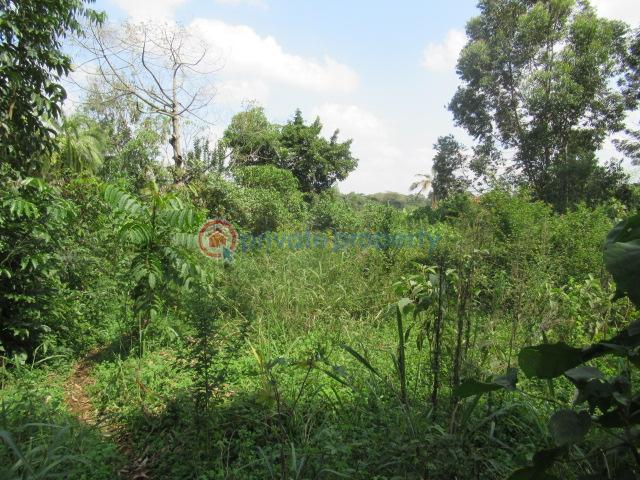 Land For Sale Runda Estate Runda Westlands Nairobi - 3