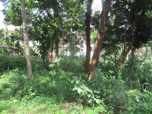 Land For Sale Runda Estate Runda Westlands Nairobi - 6