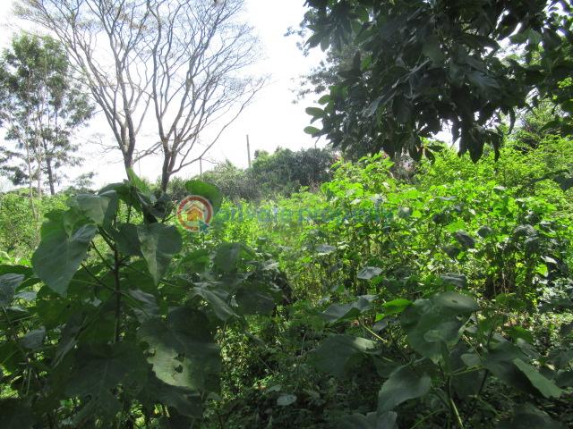Land For Sale Runda Estate Runda Westlands Nairobi - 4