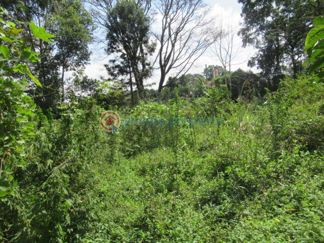 Land For Sale Runda Estate Runda Westlands Nairobi - 1