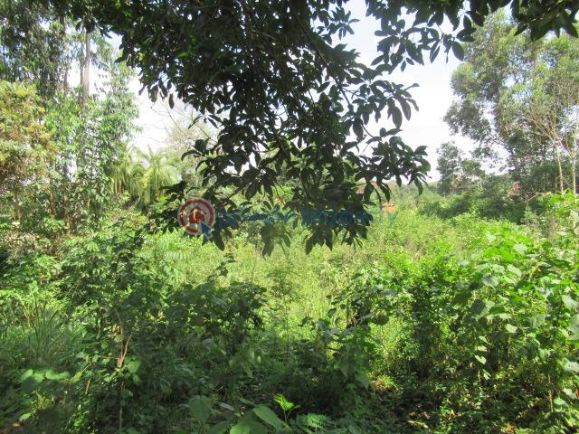 Land For Sale Runda Estate Runda Westlands Nairobi - 9