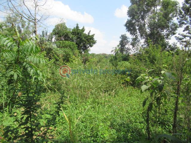 Land For Sale Runda Estate Runda Westlands Nairobi - 2