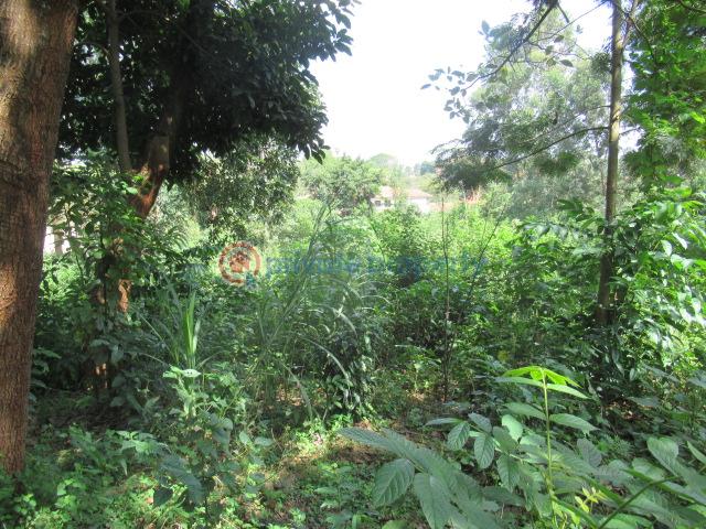 Land For Sale Runda Estate Runda Westlands Nairobi - 5
