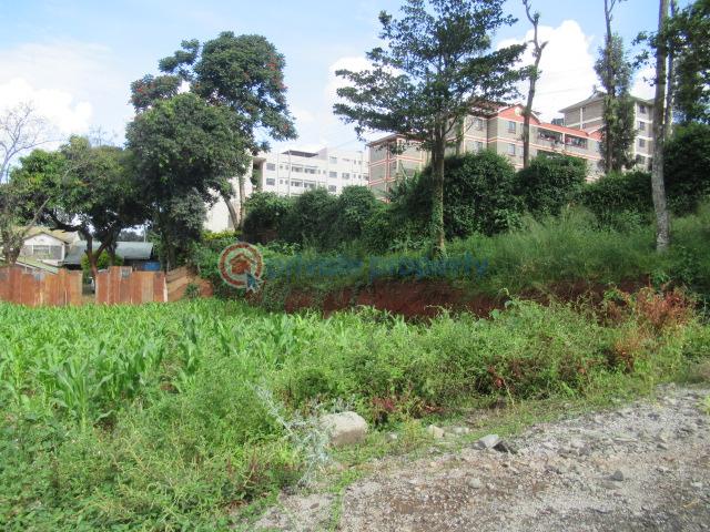 Land For Sale Thindigua Rd Thindigua Highway Nairobi - 2