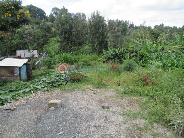 Land For Sale Thindigua Rd Thindigua Highway Nairobi - 3