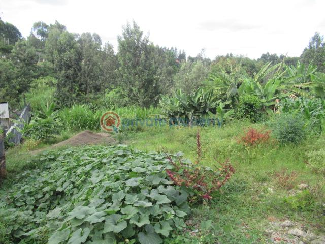 Land For Sale Thindigua Rd Thindigua Highway Nairobi - 4