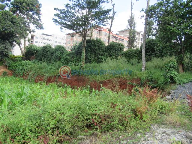 Land For Sale Thindigua Rd Thindigua Highway Nairobi - 7