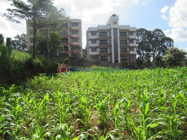 Land For Sale Thindigua Rd Thindigua Highway Nairobi - 10