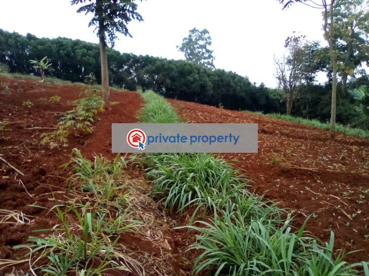 Mixed use Land For Sale &nbsp;runda Close Runda Westlands Nairobi - 6