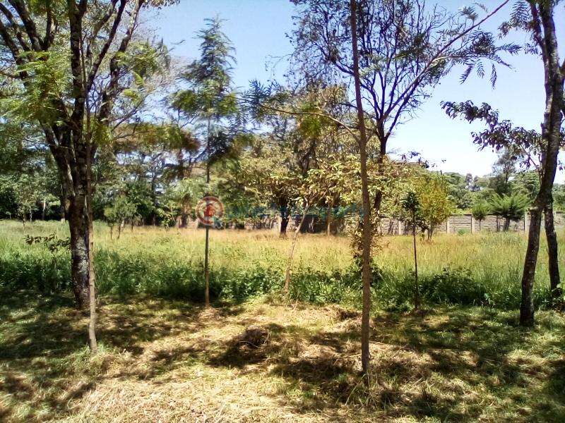 Land For Sale Forest Edge Rd Karen Nairobi - 3